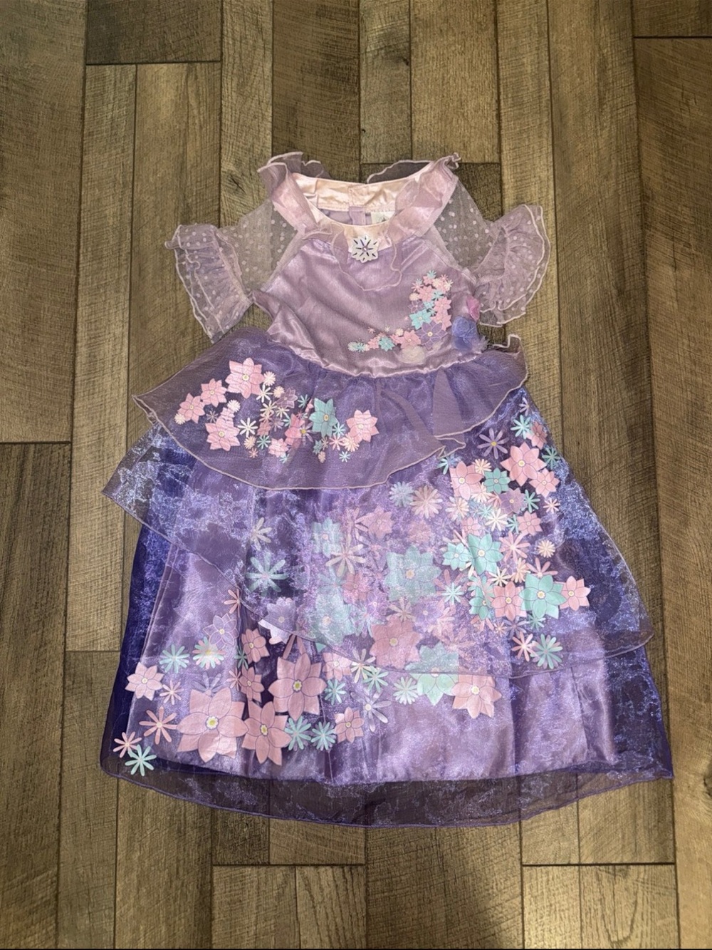 Disney Store Encanto Isabella Costume (5/6)
